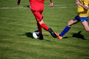 LPL多个队伍重组计划曝光转会期极度混乱，lpl战队转会期